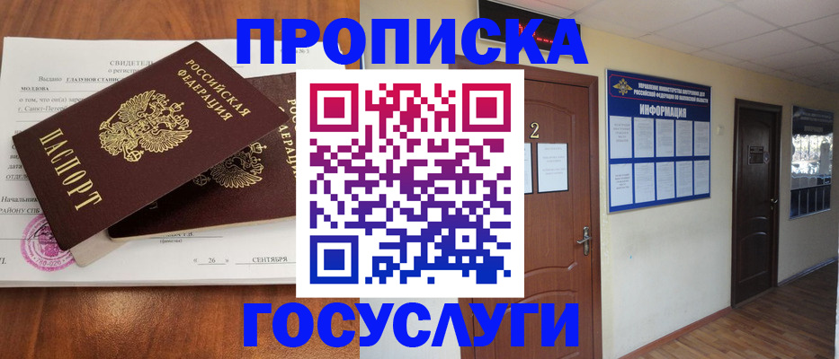 временная регистрация госуслуги в Щёлково